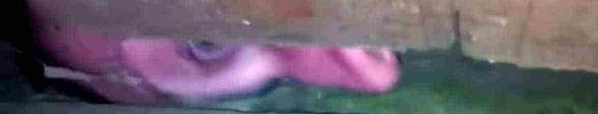 Нижняя пикча